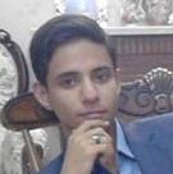 کرسی سبز و آغاز تكاپوها