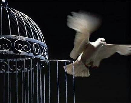 خیر نیک اندیش، اسباب آزادی ۳۰ زندانیِ مجرم مالی در کاشان