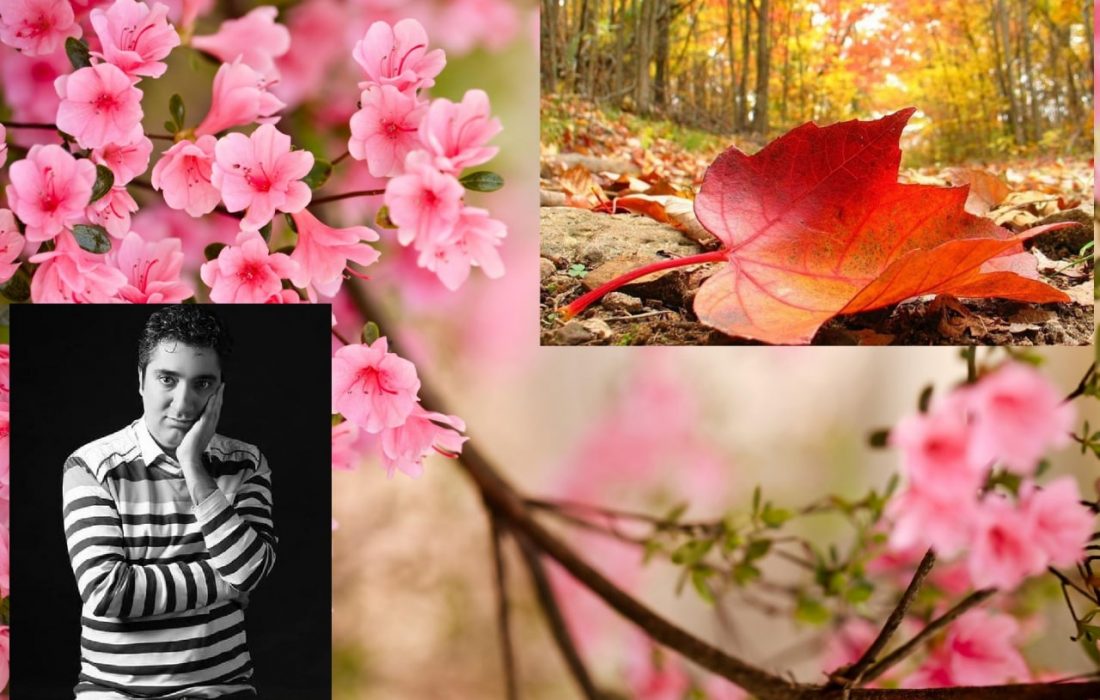 ذکر خیری از پاییز در بهار*