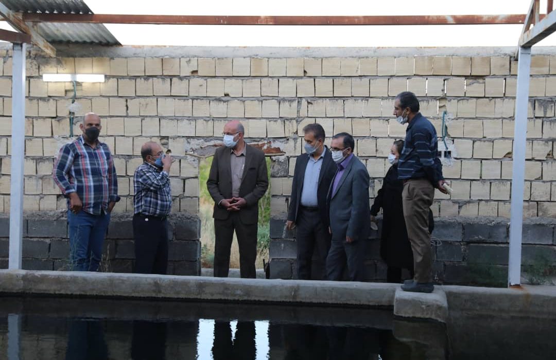 بازدید معاون وزیر جهاد کشاورزی از مزرعه سلامت حسین آباد