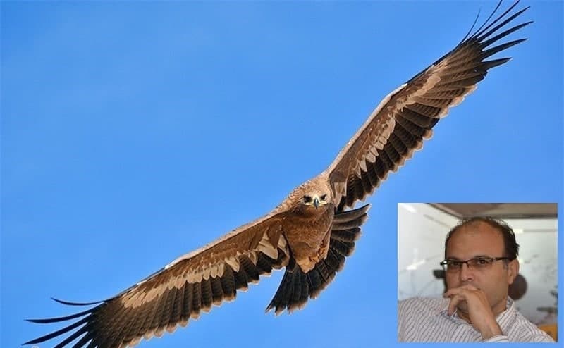 اجازه دهیم طبیعت کار خودش را انجام دهد