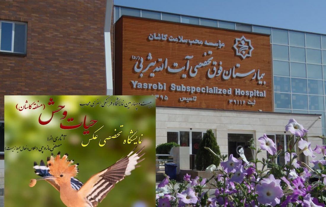 حیات وحش، موضوع بیست و چهارمین نمایشگاه فرهنگی- هنری محب در بیمارستان آیت الله یثربی