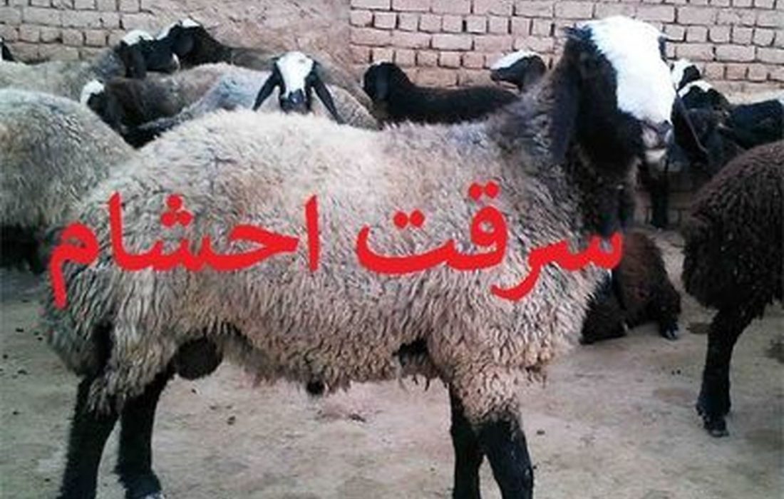 دامداران مالباخته آران و بیدگل همچنان در انتظار اجرای قانون