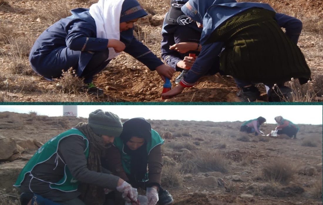 حفاظت از درختان و جنگلها آری، درختکاریهای نمادین خیر