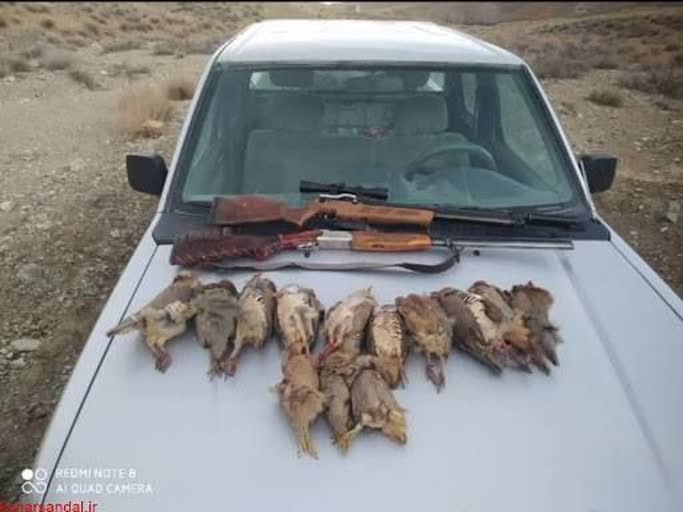 دستگیری چهار شکارچی متخلف در منطقه حفاظتشده قمصر و برزک / کشف لاشه ۱۳ قطعه تیهو